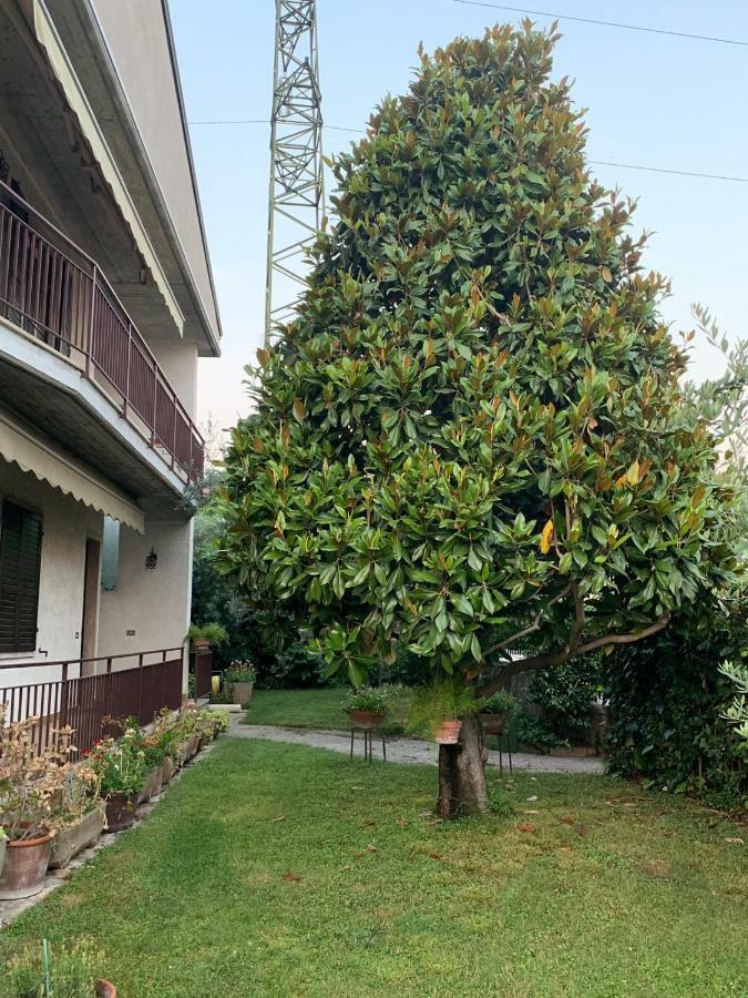 Casa Magnolia Apartment Pastrengo Exterior photo